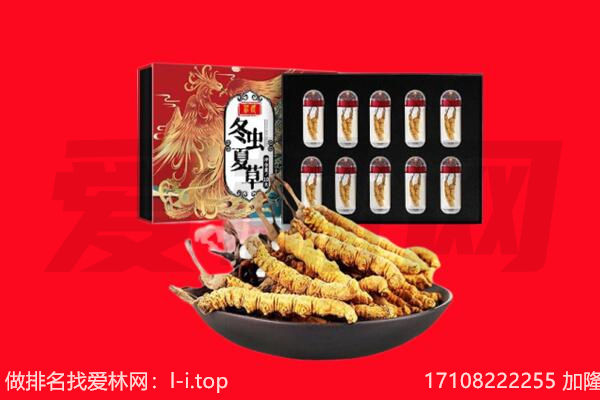 曲靖会泽县回收虫草.jpg